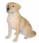 Vivid Arts Real Life Golden Labrador - Size A