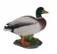 Vivid Arts Real Life Mallard Duck - Size A