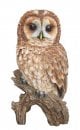 Vivid Arts Real Life Tawny Owl - Size B