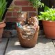 Smart Garden Eledon Plant Pot Fountain