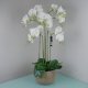 Leaf Design 80cm Large Orchid White Artificial  (41 Real Touch Flowers)