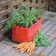 Haxnicks Carrot Patio Planter x2