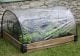 Haxnicks Raised Bed Weather Protection Poly Cover