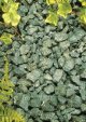 Kelkay Forest Green Chippings - Bulk Bag