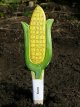 Veggie Stikks Corn - Vegetable Labelling