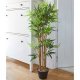 Smart Garden Bamboo 120cm Indoor Plant