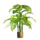 Leaf Design 100cm Large Fox's Aglaonema (Spotted Evergreen) Tree Artificial Plant with Gold Metal Planter