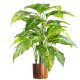 Leaf Design 100cm Large Fox's Aglaonema (Spotted Evergreen) Tree Artificial Plant with Copper Metal Planter