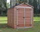 Palram-Canopia 6x8 Skylight Amber Polycarbonate Shed