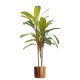 Leaf Design 100cm Artificial Potted Dracaena Tropical Plant with Copper Metal Plater