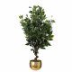 Leaf Design 110cm Artificial Evergreen Ficus Tree Gold Curve Planter