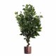 Leaf Design 110cm Artificial Evergreen Ficus Tree Copper Planter