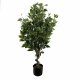 Leaf Design 110cm Artificial Evergreen Twist Ficus Tree