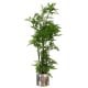 Leaf Design 150cm Artificial Natural Moss Base Fern Foliage Plant with Silver Metal Plater