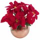 Leaf Design Artificial Christmas Xmas Red Poinsettia 40cm Copper Hammered Metal Planter