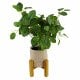 Leaf Design 50cm Artificial Pothos Plant With Ceramic Planter And Stand