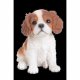 Vivid Arts Pet Pals King Charles Puppy - Size F