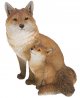 Vivid Arts Real Life Fox Cub With Mother - Size A