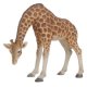 Vivid Arts Real Life Stooping Giraffe - Size A