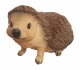 Vivid Arts Real Life Hedgehog - Size D