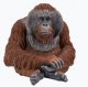 Vivid Arts Real Life Orangutan - Size B