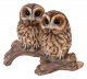 Vivid Arts Tawny Owls on Branch (Size D)