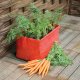 Haxnicks Carrot Patio Planter x2
