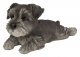 Vivid Arts Laying Schnauzer Puppy (Size F)