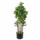 Leaf Design Artificial Deluxe 75cm Green Jade Plant