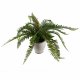 Leaf Design 40cm Artificial Fern Bush in Decorative Planter