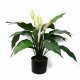 Leaf Design Artificial Peace Lily White Spathiphyllum
