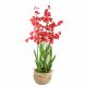 Leaf Design 90cm Oncidium Artificial Orchid Red in Stoneware Planter