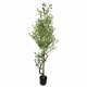 Leaf Design 160cm Artificial Olive Tree (1296 Leaves & 72 Olives)