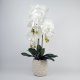 Leaf Design 60cm Pure White Artificial Orchid with Ceramic Bubble Planter