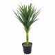 Leaf Design 90cm (3ft) Large Artificial Green Yukka Plant Spiky Tree Plant