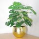 Leaf Design 60cm Artificial Monstera Plant with Golden Metal Planter