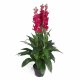 Leaf Design 100cm Artificial Cymbidium Orchid Plant - XL - Dark Pink Flowers