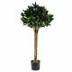 Leaf Design 90cm (3ft) Plain Natural Trunk Artificial Topiary Bay Laurel Ball Tree