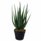 Leaf Design 55cm Artificial Realistic Aloe Vera Succulent Plant with Silver Designer Planter