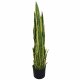 Leaf Design 90cm (3ft) Artificial Sansevieria Yellow Green Indoor Plant (Large)