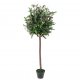 Leaf Design 120cm Artificial Olive Bay Style Topiary Fruit Tree