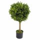 Leaf Design 80cm Boxwood Artificial Topiary Buxus Ball Tree (Extra Wide - 45cm Diameter)