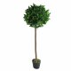 Leaf Design 120cm (4ft) Plain Natural Trunk Artificial Topiary Bay Laurel Ball Tree