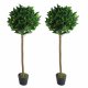 Leaf Design Pair of 120cm (4ft) Plain Stem Artificial Topiary Bay Laurel Ball Trees