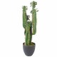 Leaf Design 75cm Premium Artificial Cactus with Pot