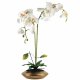 Leaf Design 70cm Artificial Orchid White with Gold Dish Ceramic Planter