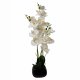 Leaf Design 70cm Artificial Orchid White with Black Ceramic Planter