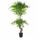 Leaf Design 150cm Twisted Trunk Artificial Japanese Fruticosa Ficus Tree Rainbow Planter