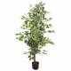Leaf Design 130cm Artificial Variegated White/Green Bushy Ficus Tree