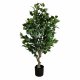 Leaf Design 110cm Artificial Evergreen Ficus Tree
